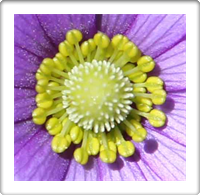 Austin Famous Artists